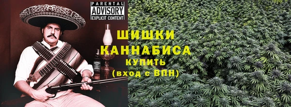 ГАЛЛЮЦИНОГЕННЫЕ ГРИБЫ Навашино