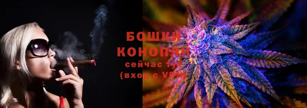 гидра Михайловск