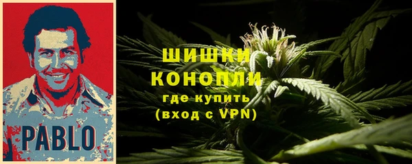 гидра Михайловск