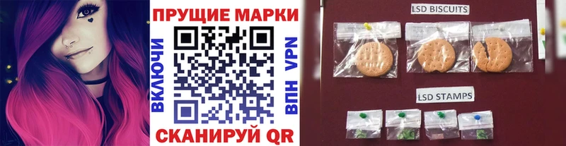 блэк спрут зеркало  купить наркотики сайты  Новокубанск  нарко площадка какой сайт  Марки 25I-NBOMe 1,8мг 