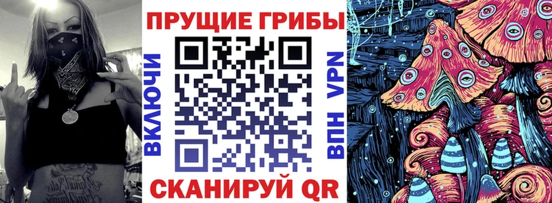 Галлюциногенные грибы мицелий Новокубанск