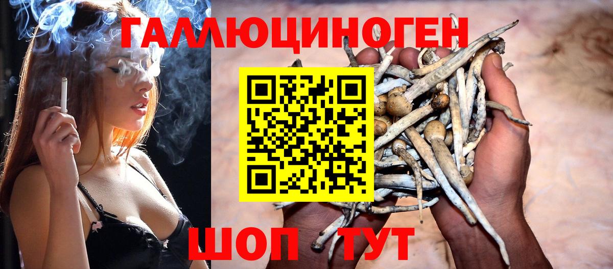 Цена  Гарик  Новокубанск  Alpha-PVP  Ляпка  Вход с VPN  Мяу-Мяу  Cocaine  МАРИХУАНА 