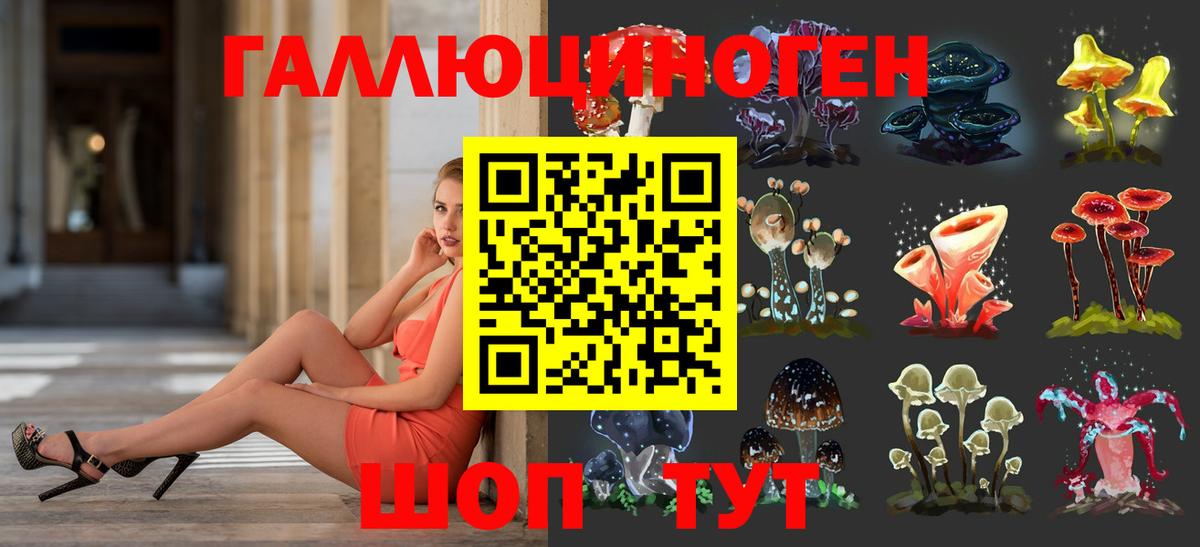 Псилоцибиновые грибы мицелий Новокубанск