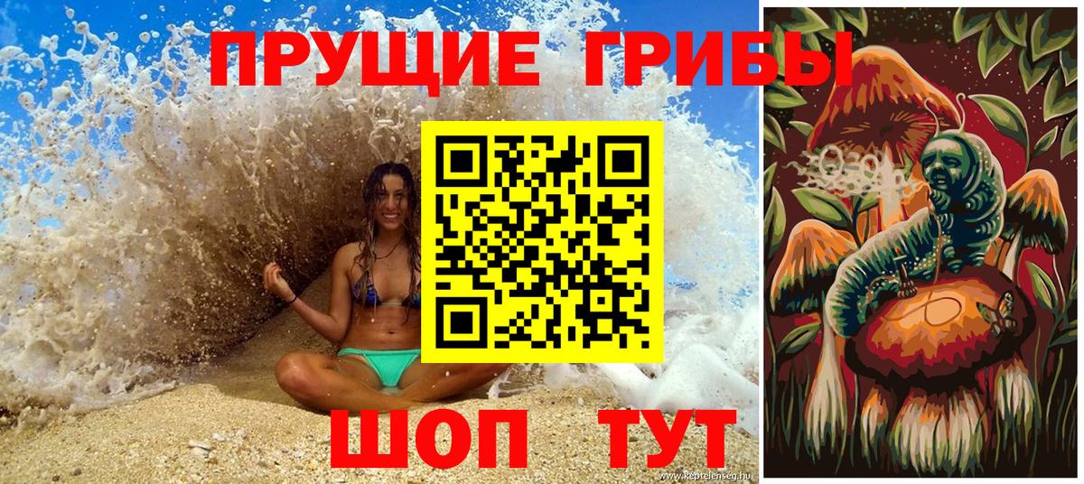 Галлюциногенные грибы прущие грибы  Вход с VPN  Новокубанск  Галлюциногенные грибы Psilocybe 