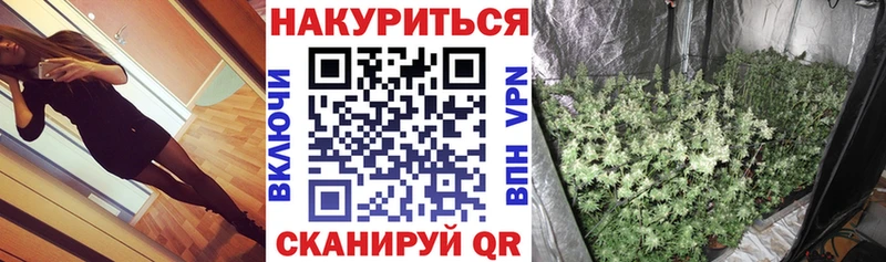 Шишки марихуана индика Новокубанск
