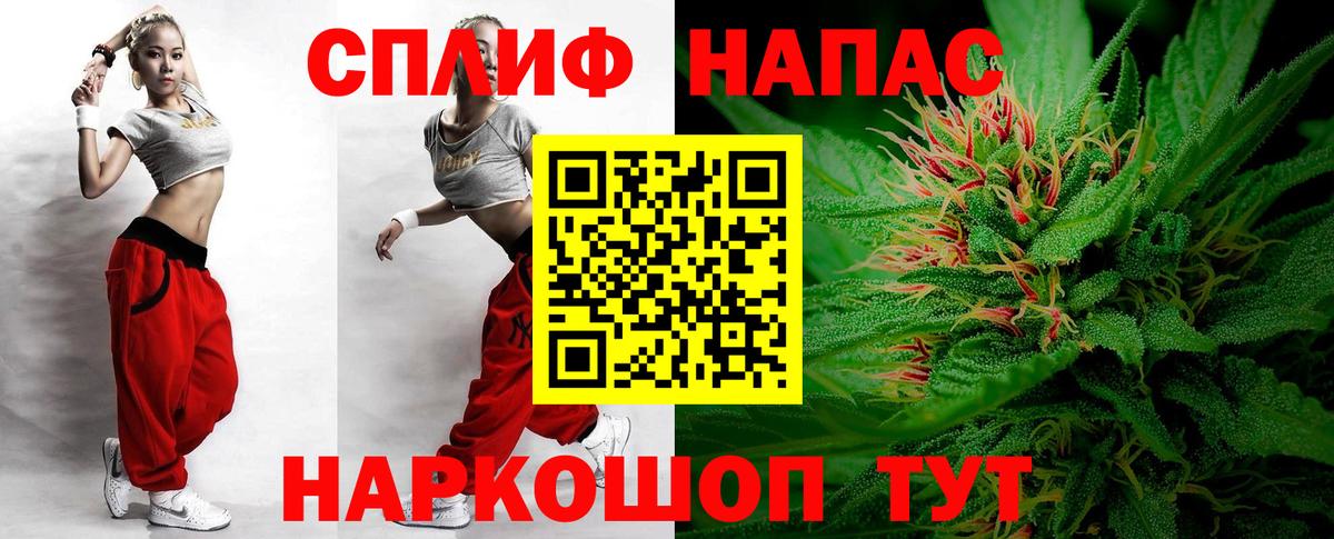 Канабис конопля Новокубанск